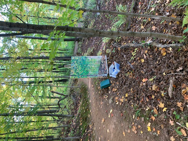 Woods Working