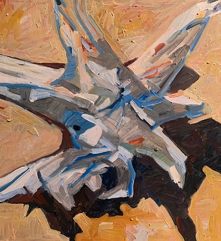 Driftwood 2