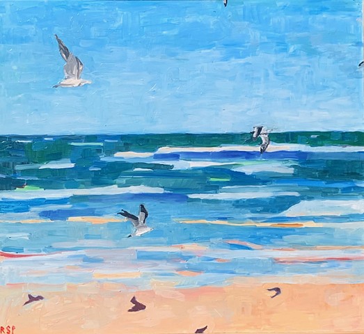 Gulls