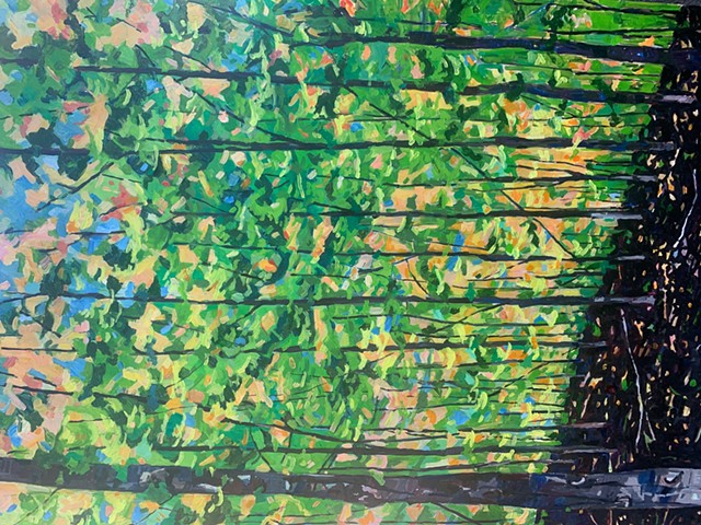 Woods