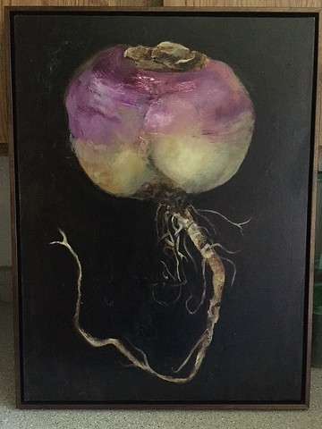 Turnip, Oil on Linen, Framed