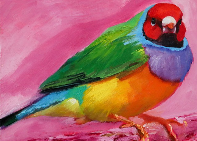 Gouldian Finch Bird Rainbow pink oil paint