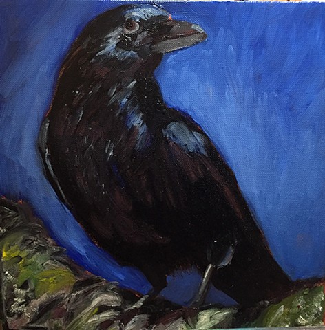 Lone Crow