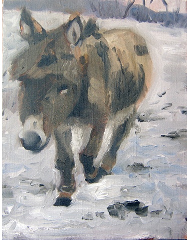 donkey in a snowy field