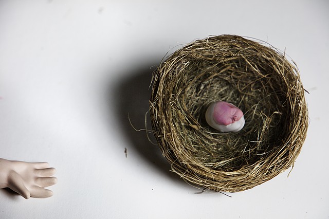 If Only They Were Honest