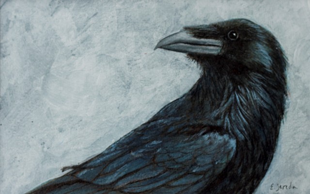 Raven Study 1
