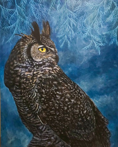 Great Horned Owl in Blue Cedar