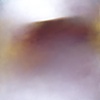 Golden II (Chesil Beach)