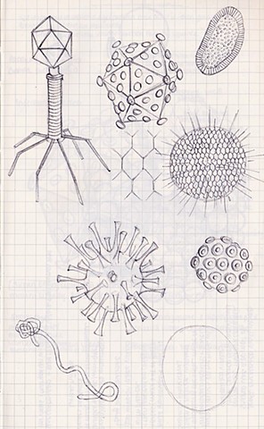 Sketches for viruses/bacteria