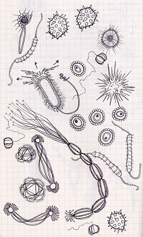 Sketch of microorganisms