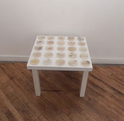 Cultured Texts [Brooklyn Artists Gym Installation view]