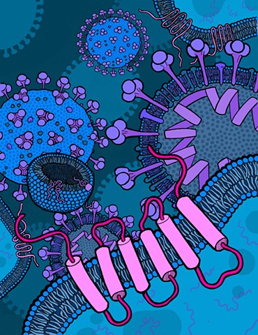 SARS-CoV-2 [Cell]