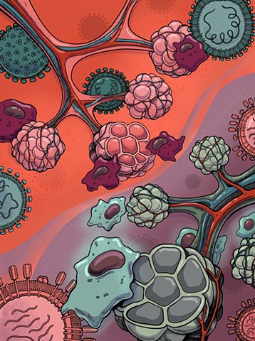 Macrophage activation [Cell Immunity]