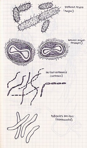 Sketch of bacteria/viruses