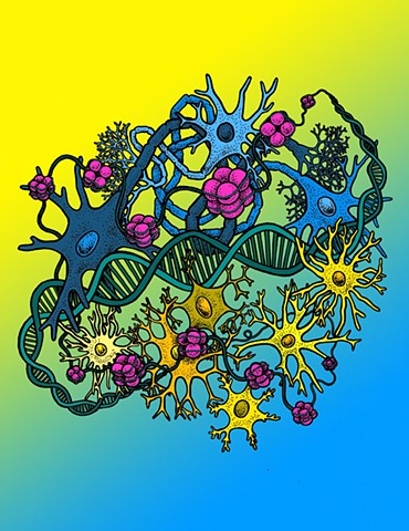 Illustration for the EpiMap Project: Epigenomics of Neurons vs. Non-Neurons