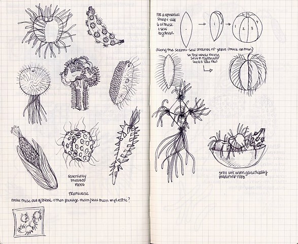 Sketch for GMOs