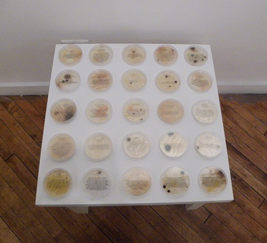 Cultured Texts [Brooklyn Artists Gym Installation view]