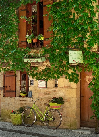 La Bonbonniere, Bergerac France, with lime green colorful bike and baskets, vines covering the house