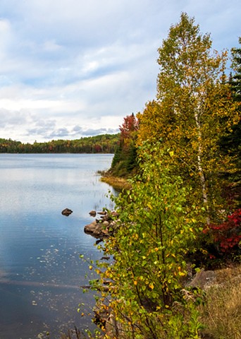 Vertical View of Brewer Lake in Algonquin Park