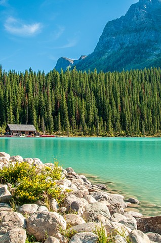 Lake Louise Banff National Park, Alberta, turquoise glacial waters, boathouse, rocks and yellow flowers 