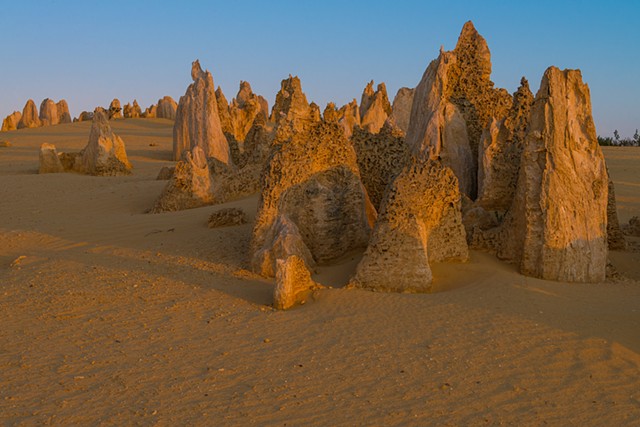 Pinnacles of Limestone in the Desert of Western Australia