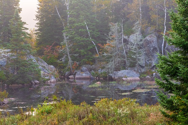 Birch Trees and Rocks  over the water in the early morning mist
