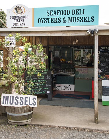 Oysters and Scallops at the side of the road in Coromandel New Zealand