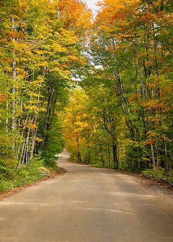 The colours of Fall along a winding country road