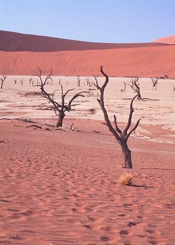 Namib desert; 