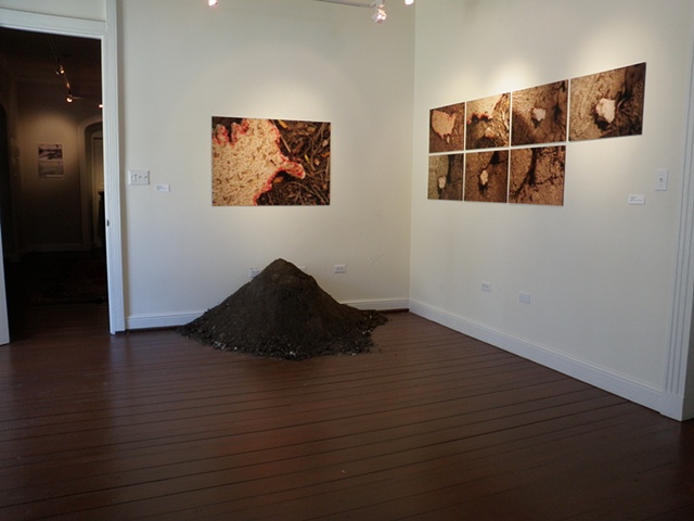 Invasion: Our Daily Bread v.2
Curated by Lisa Ladner
Presented in "Daily Strife", at The Caribbean Museum Center for the Arts, Frederiksted, St. Croix.