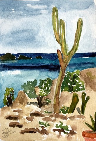 Aruba Cactus