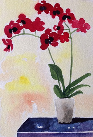Red Orchid