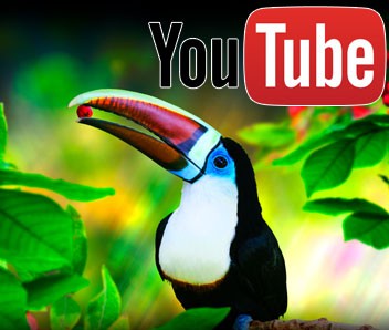 Earth Rainforest Slot game Promotional video