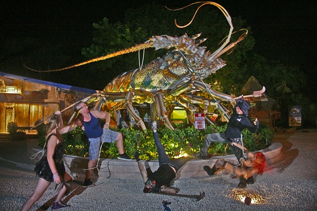 Lobster Hunting,    
Islamorada, Florida