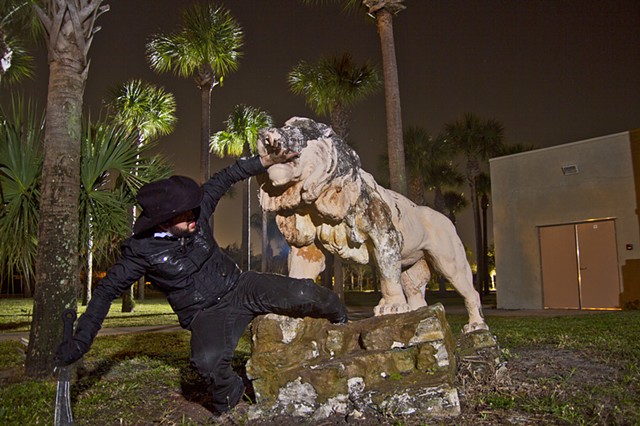 West Palm Beach, Florida, Lion, hunting, night photography, 