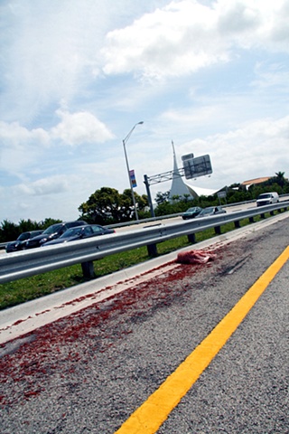 Road Kill
Miami Beach, Florida
