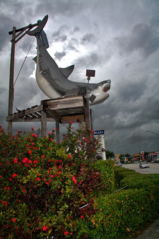 "Tiburon del Hialeah"
Hialeah, Florida