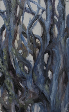 Blue Roots [SOLD]