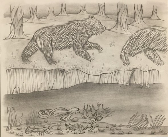 Bear Drawing #5.5