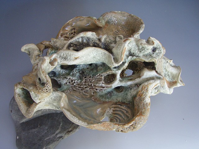 Eroded Shell 