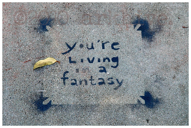 'living a fantasy'
