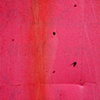 'hot pink wall detail'