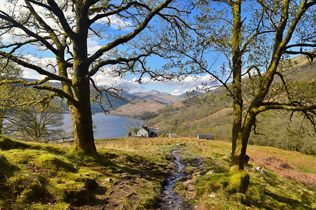 On The Trail Photography