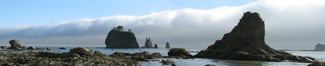 Seastacks, Washington coastline, Olympic Peninsula, fog,beaches