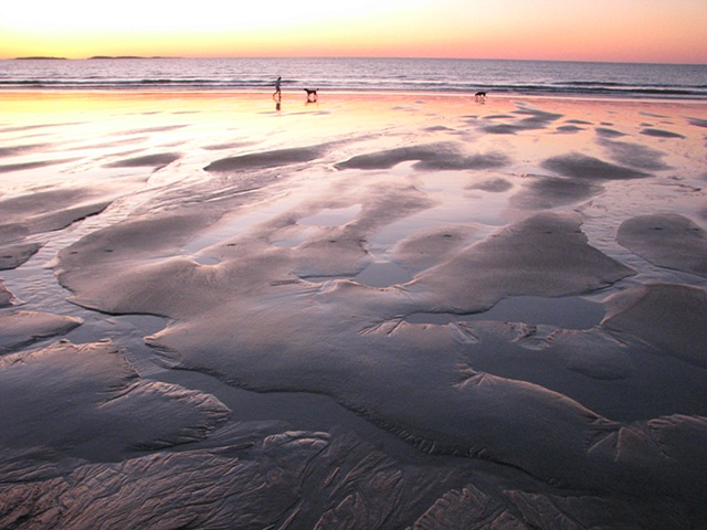 Walking the dogs, coastline of Maine, sunrise, beach, sand