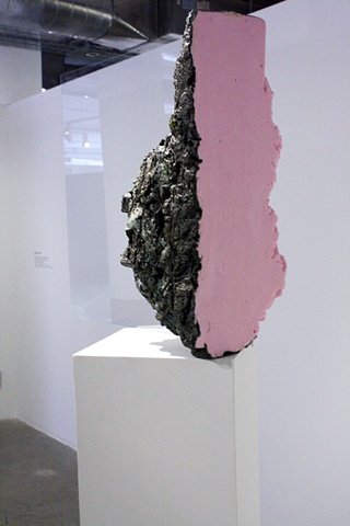 taxidermy bird, art sculpture, sullivan galleries, joseph G cruz, joe cruz, david Harper