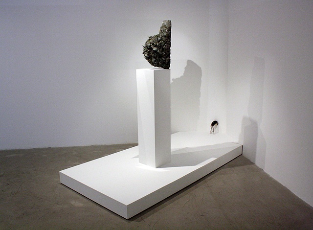 Joseph g. Cruz, Joe Cruz, Joseph Cruz, art, installation, bird art, SAIC, Sullivan Gallery, Contemporary art, sculpture, 