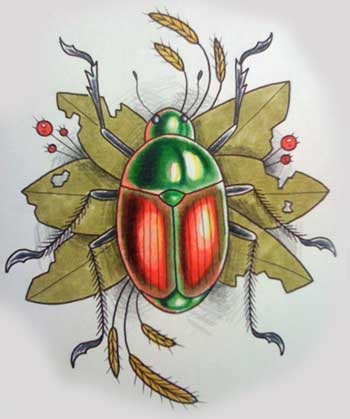 Japanese Beetle
