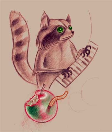 Raccoon