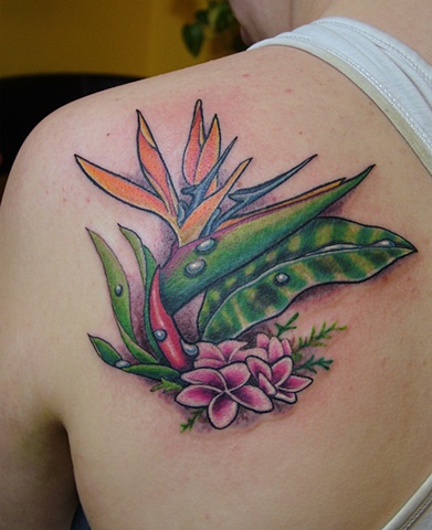 Bird of Paradise tattoo flowers sardinha wulfe stina, tattoo junkies, traditional, wulfe, art, stina, tat, tattoo, portsmouth, NH, boston, cool tattoo, ink, new hampshire, hobos, iron works, piercing, james, christina, sardinha